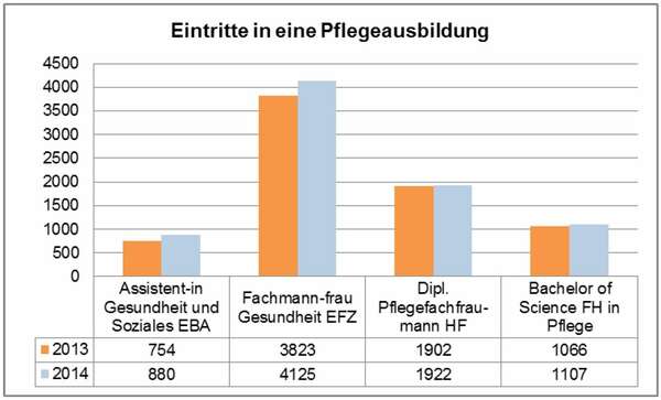 Grafik Eintritte in eine Pflegeausbildung